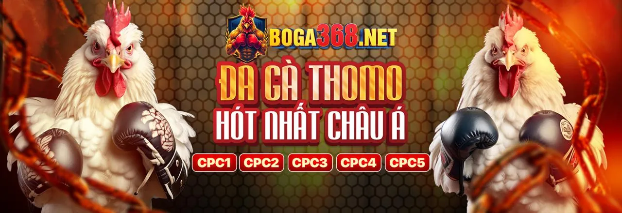 Đá gà trực tuyến 100vip chính thức